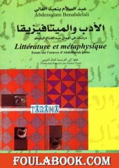 الادب والميتافيزيقا