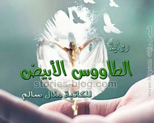 الطاووس الابيض