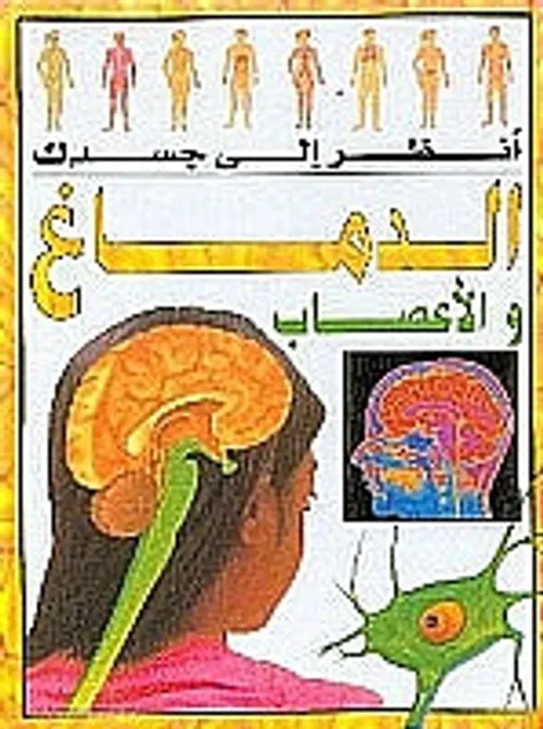 انظر الى جسدك الدماغ والاعصاب
