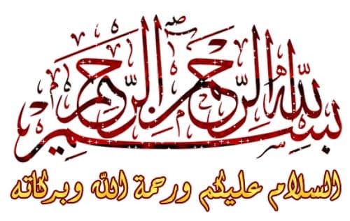 ابن مشيش شيخ الشاذلي
