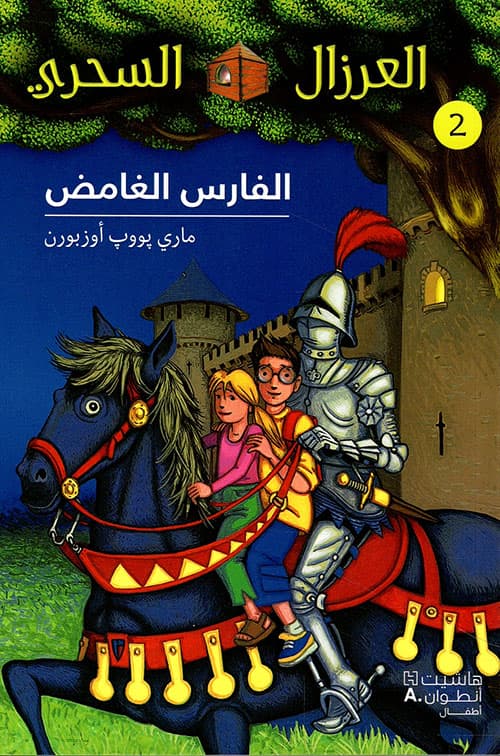 الفارس الغامض