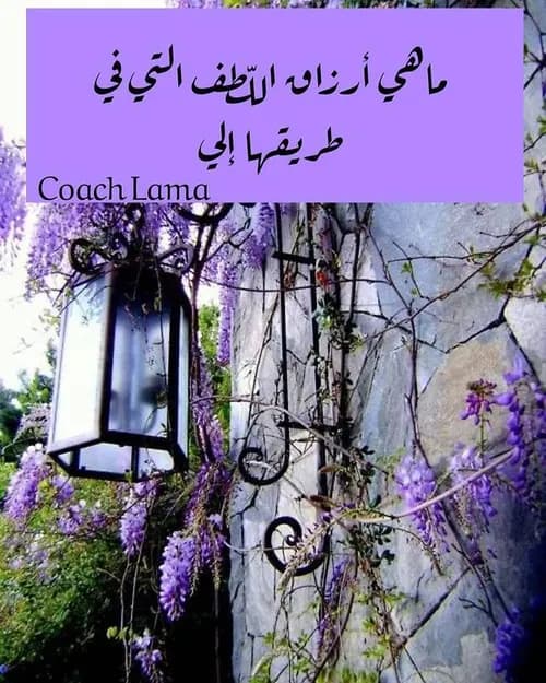 الانسان النوراني
