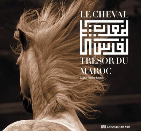 الفرس كنز المغرب