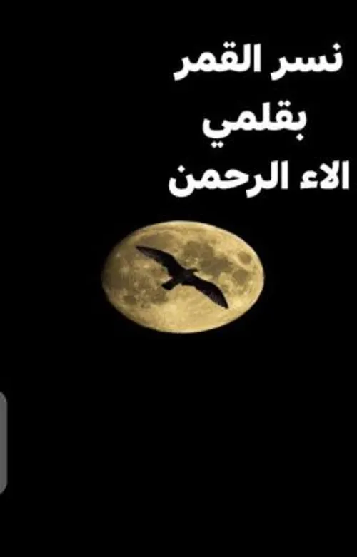 غيثة تقطف القمر
