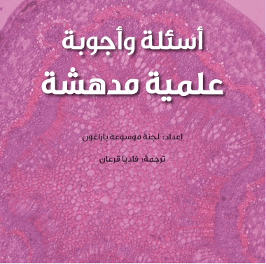 اسئلة واجوبة مدهشة