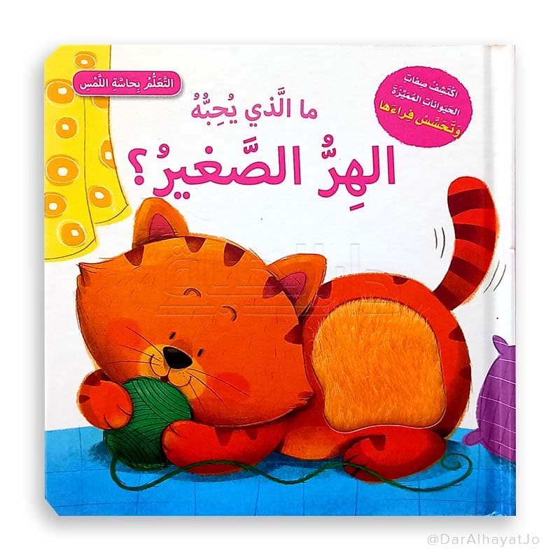مالذي يحبه الهر الصغير