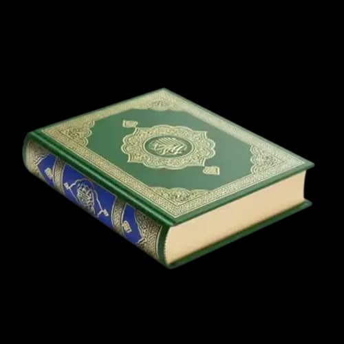 جذور شقراء