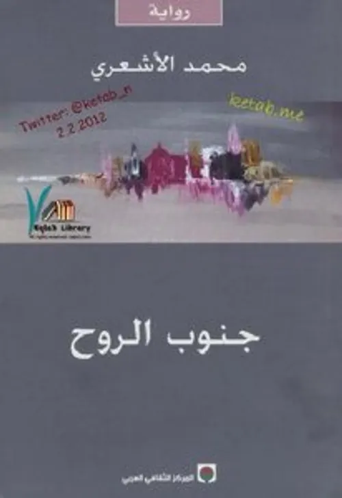 جنوب الروح/رواية