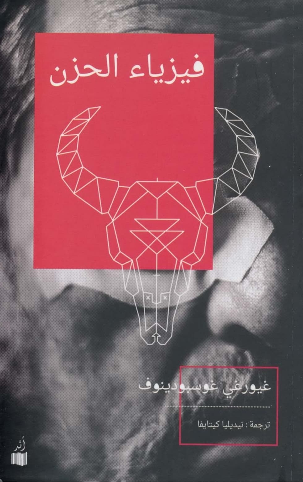 فيزياء الحزن/رواية