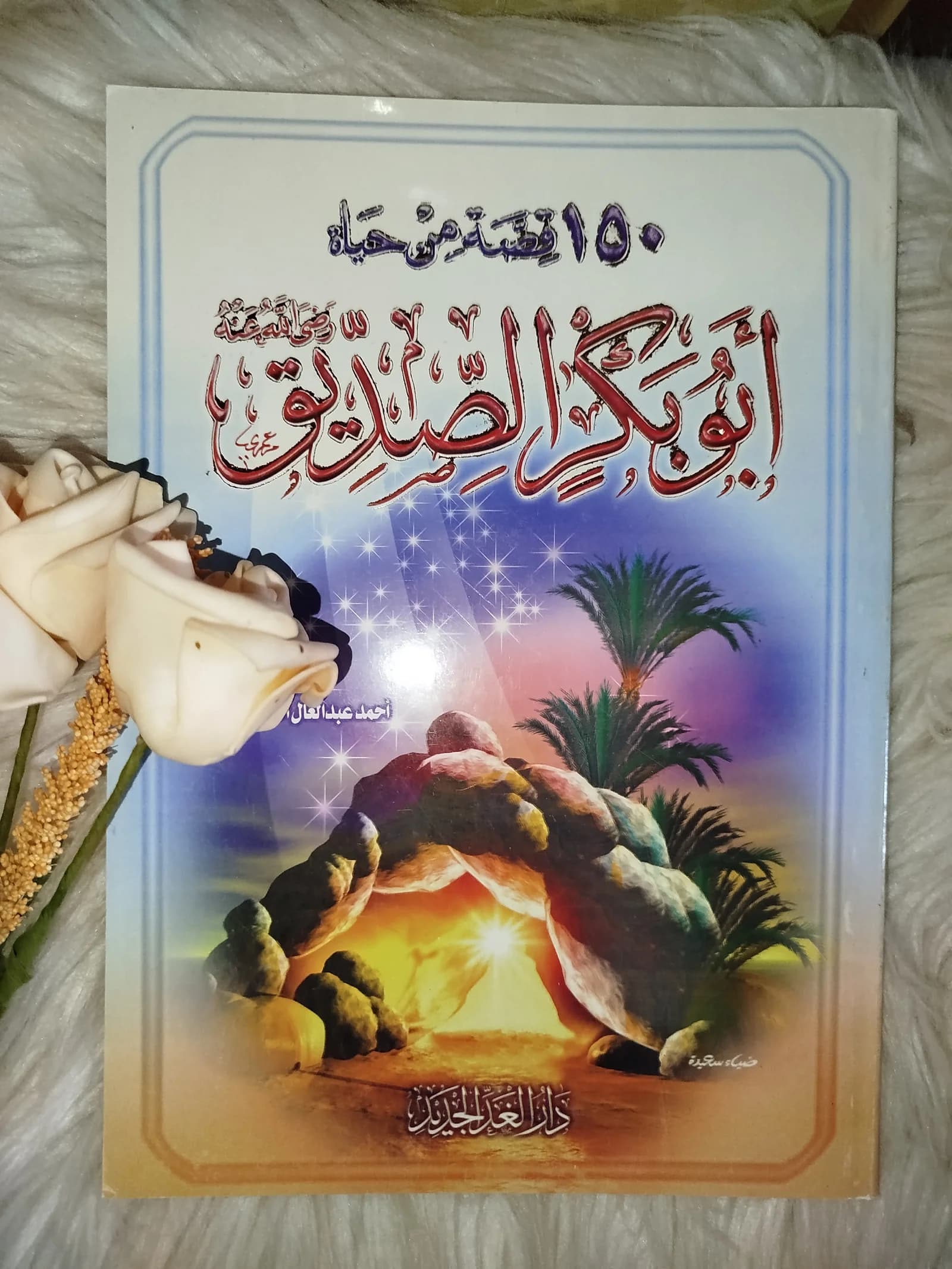 حياة ابي بكر