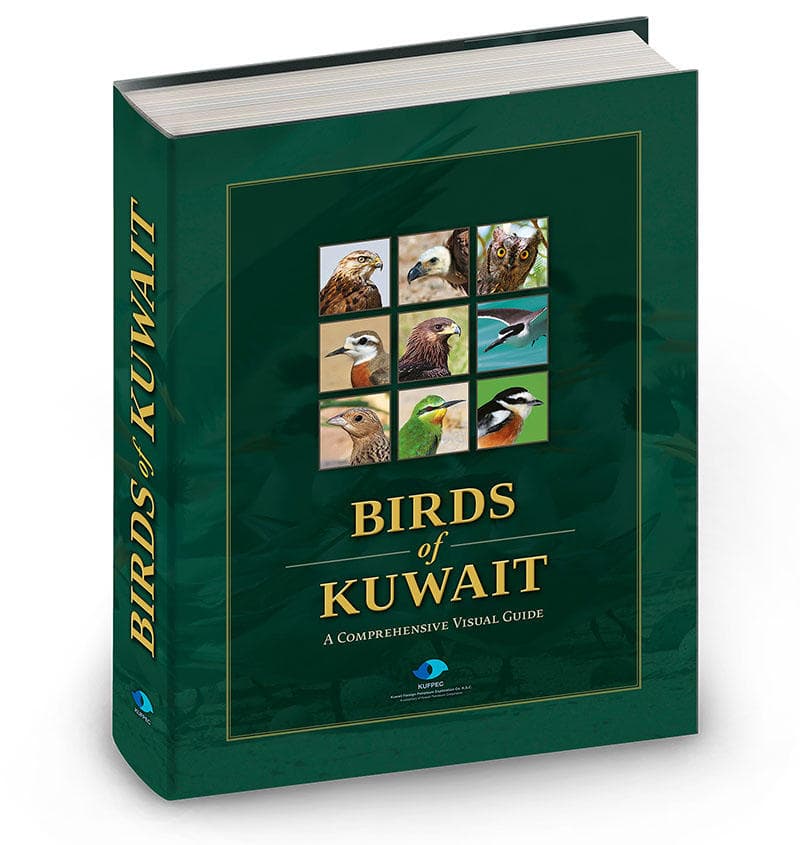 طائر للكويت