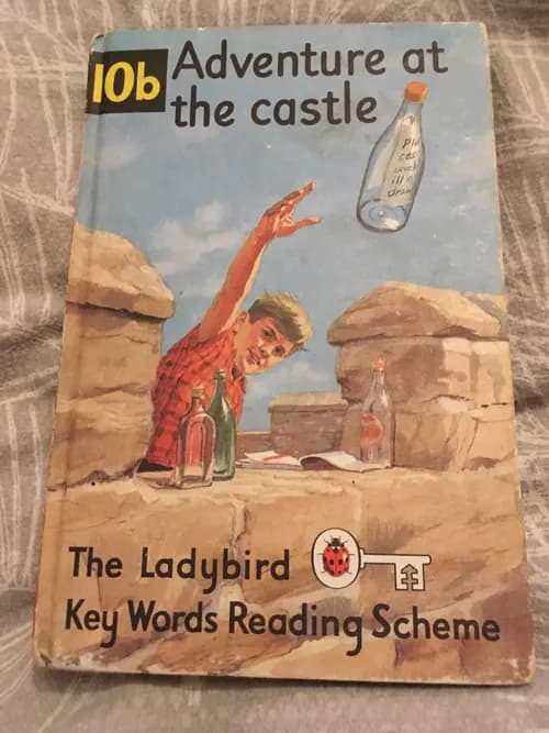 Ladybird dictionary