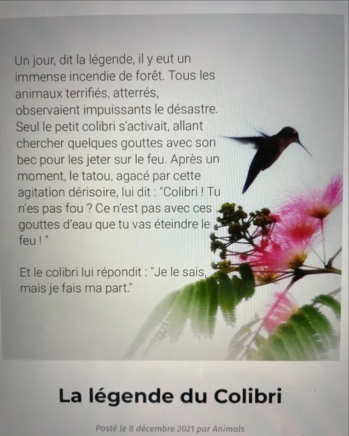Légende du colibri