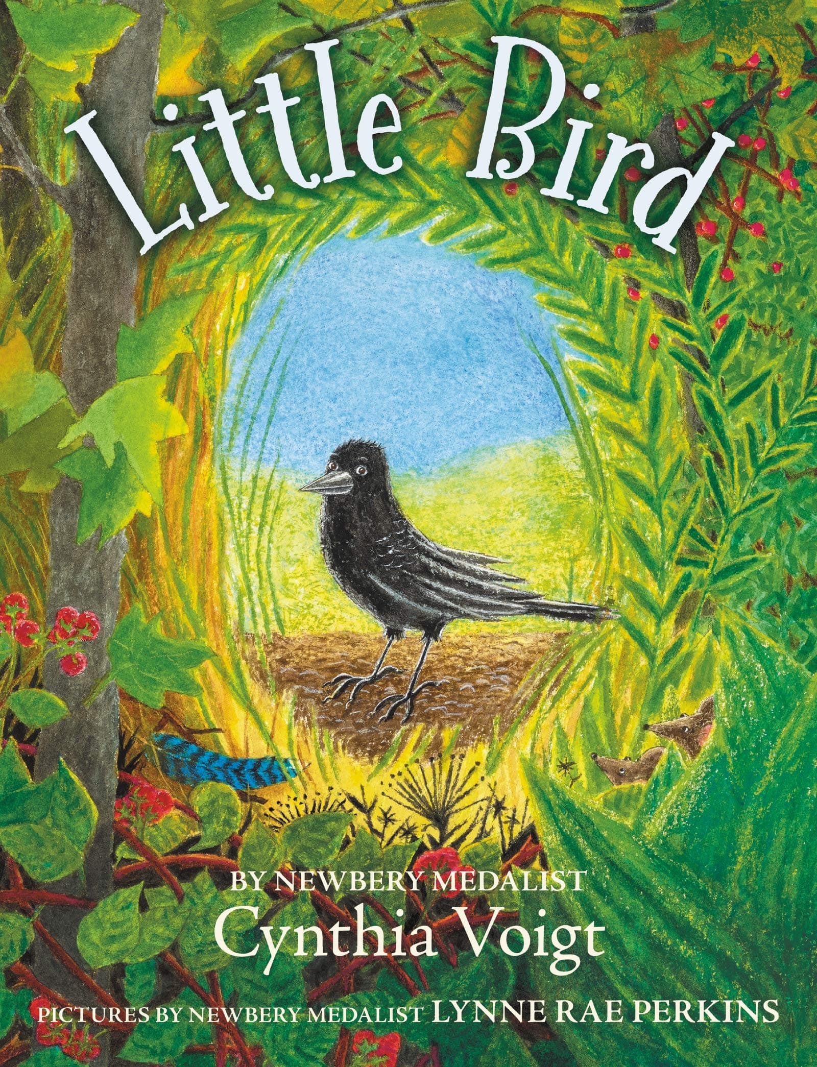 Little bird