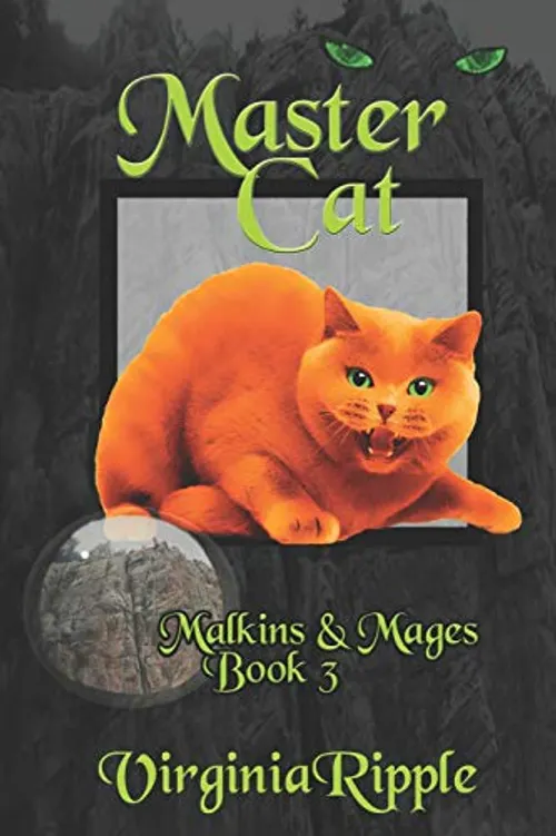 Master cat /cartonné