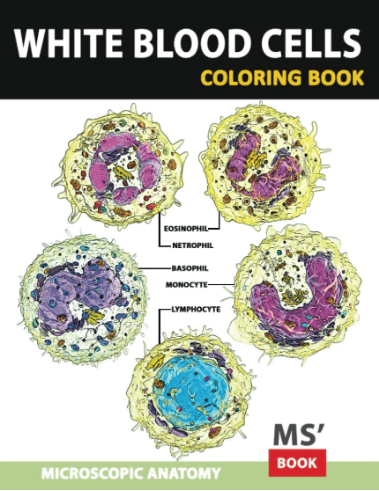 Microbiologie