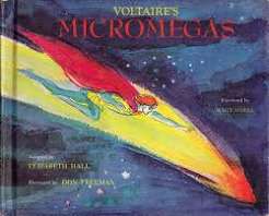 Micromégas