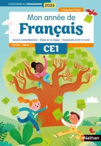 Mon année de CE1