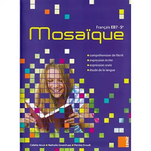 Mosaique français 5°