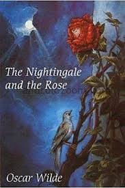 Nightingale the rose