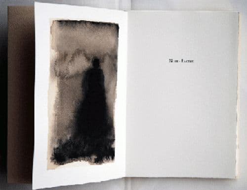 Noir-racine