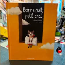 Nuit , un chat