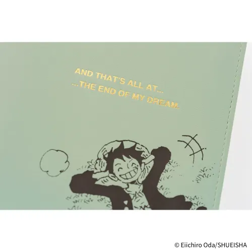 One piece T6