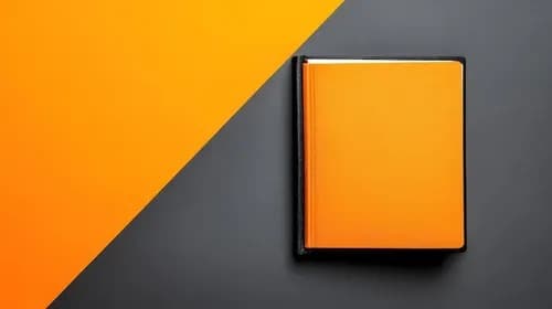 Orange  T 5