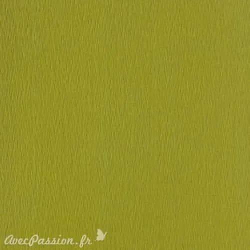 Papier Mousse Vert