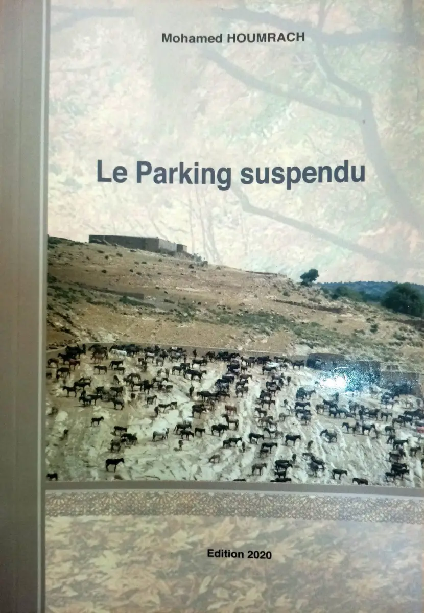 Parking suspendu  DP