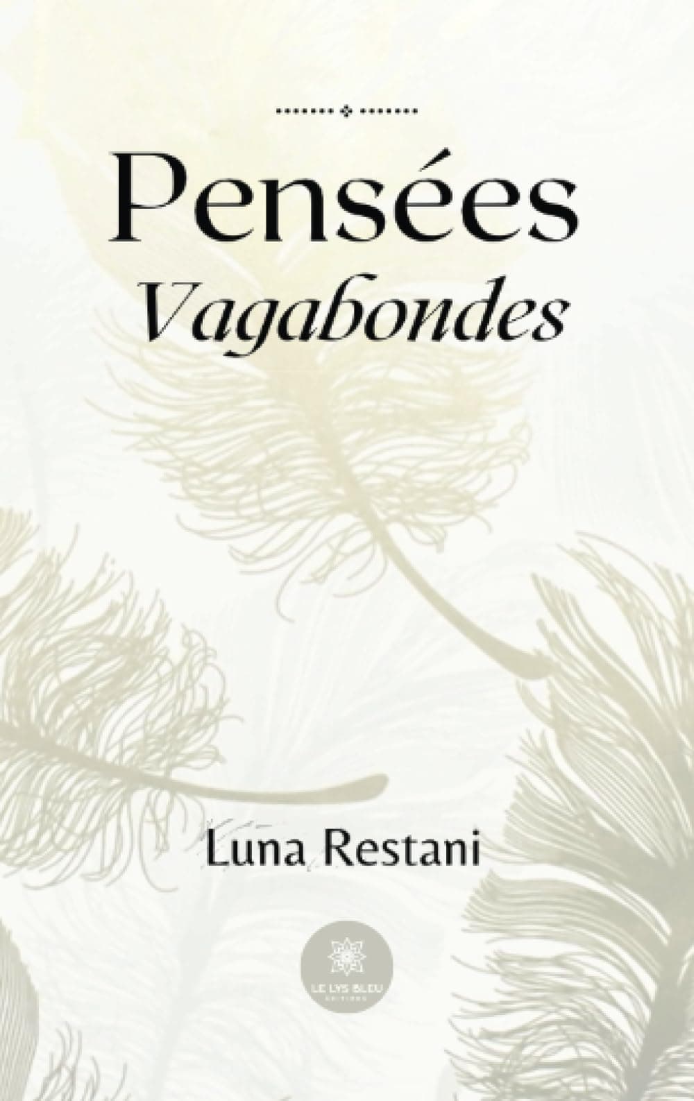 Pensées vagabondes DP