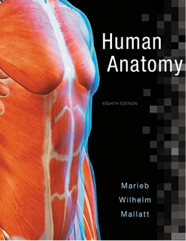 Physiologie humaine