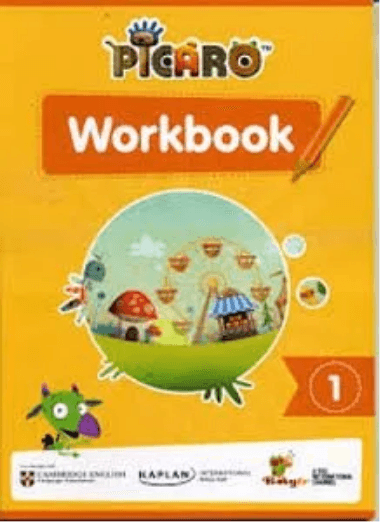 Picaro Workbook