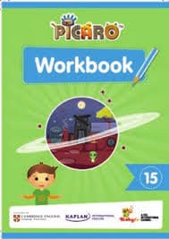 Picaro Workbook