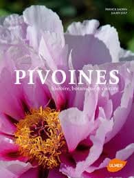 Pivoine
