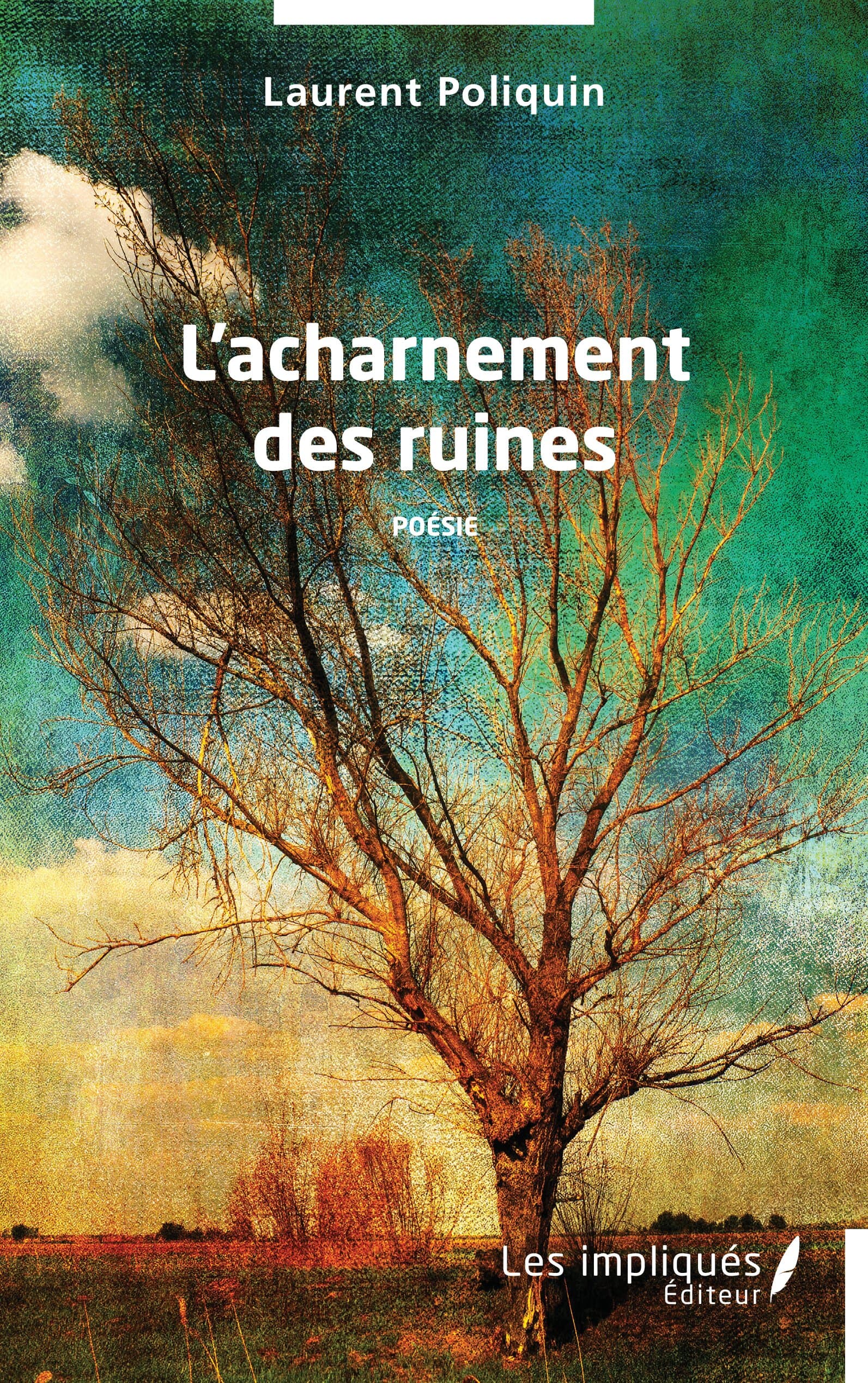 Poème des ruines