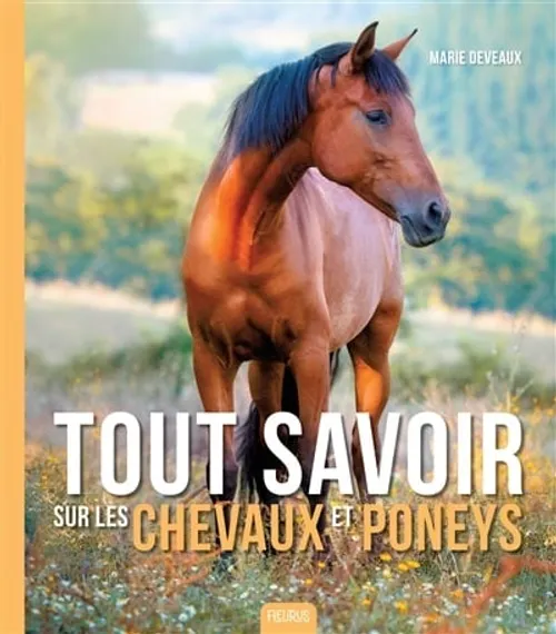 Poneys et chevaux