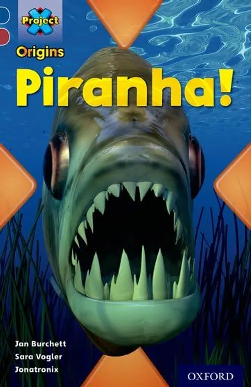 Projet Piranha
