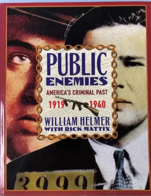 Public Enemies