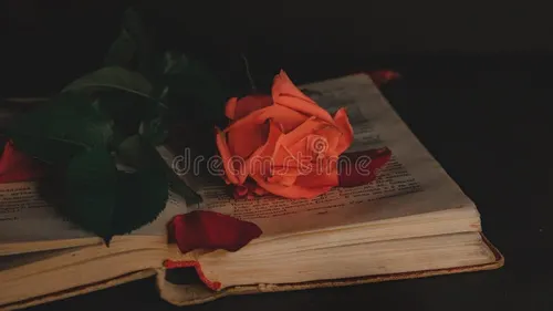 Rosée d'un monde