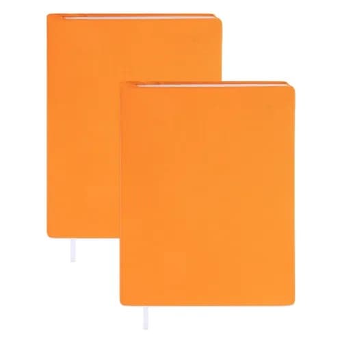 Stylo orange Bic Bleu