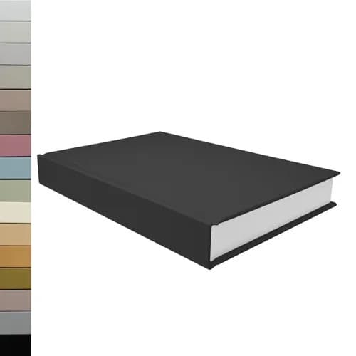 Stylo Pilot BP-1 Noir