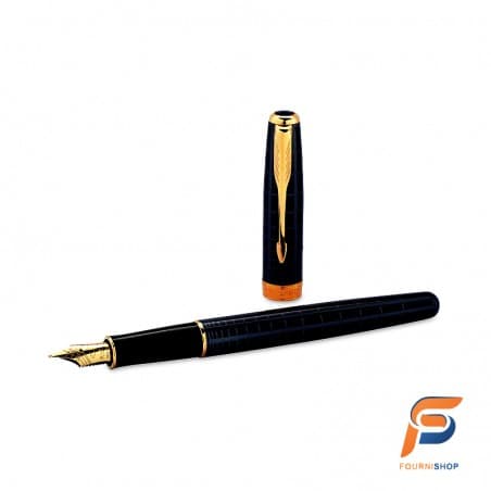 Stylo PLume Parker