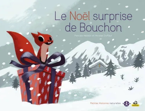 Surprise de Noel
