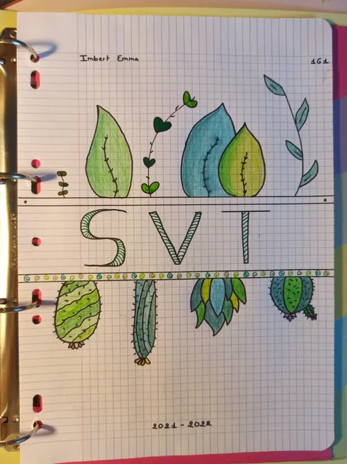 SVT 3e