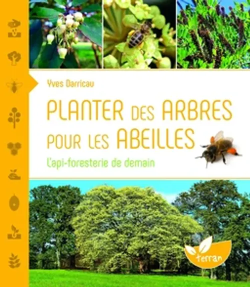 Taille des arbres