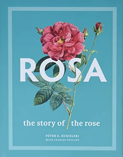 Tigre et la rose