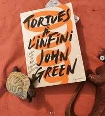 Tortues à l'infini