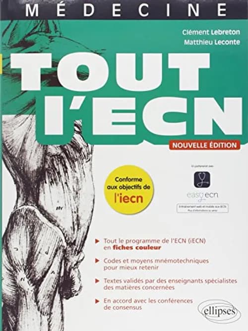 Tout l'ECN