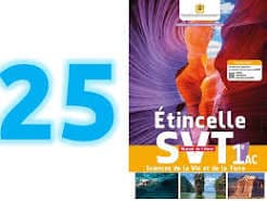 Tremplin SVT 1° AC